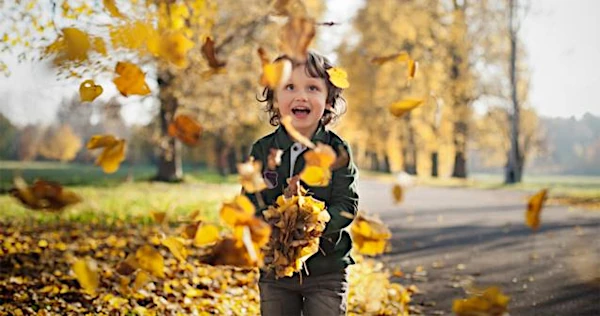 Autumn